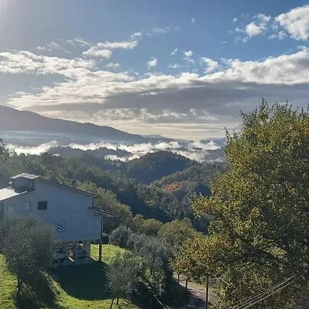Nature Lover Canterano